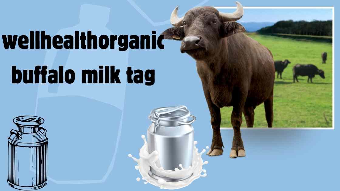 well health organic buffalo milk tag organic milk health tips organic milk vs regular health benefits of good health