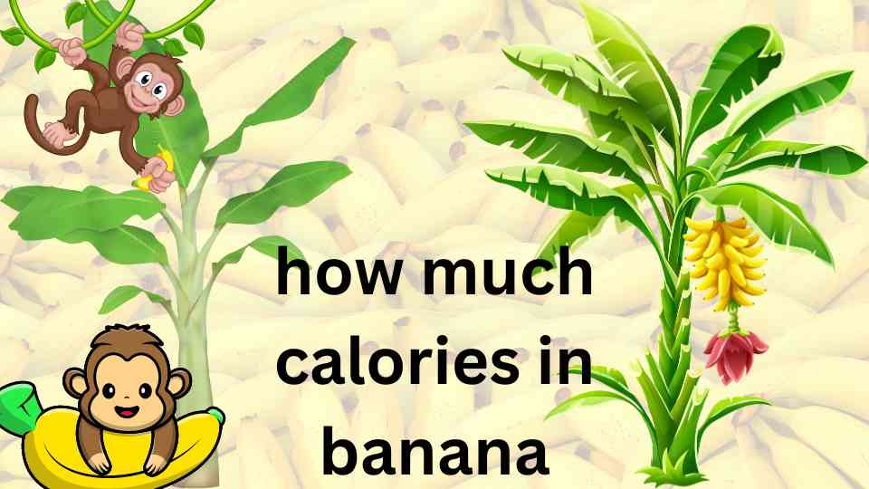 how much calories in banana vitamin B6information vitamin C