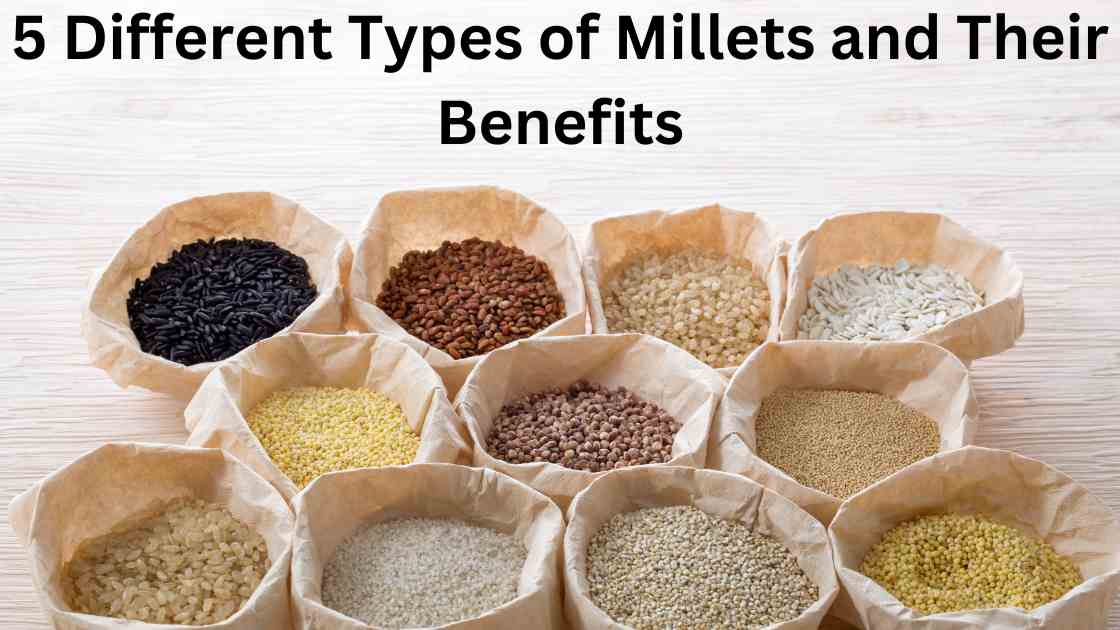 5 Different Types of Millets and Their Benefits